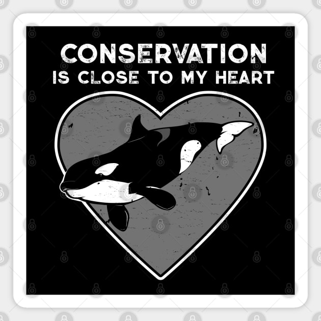 Killer Whale Conservation Heart Magnet by Peppermint Narwhal